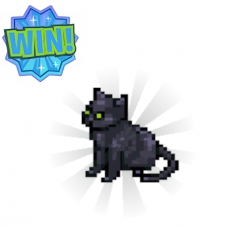 PUZZLE: Win a Scray Cat!