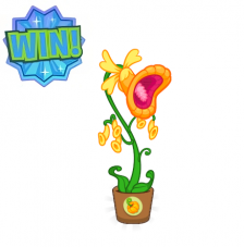 PUZZLE: Win a house plant!