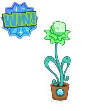 PUZZLE: Win a green house plant!